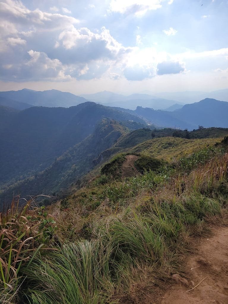 Phu Chi Fa (3)